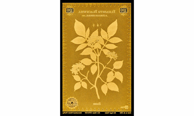 Blackwell Botanical Aurum® 24k Gold Series Set