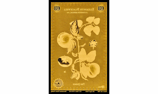 Blackwell Botanical Aurum® 24k Gold Series Set