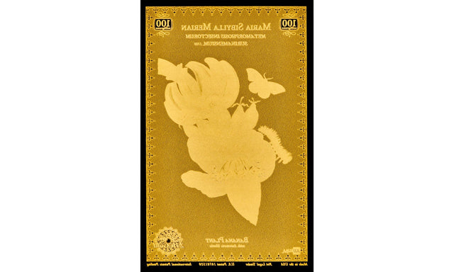 Merian Botanical Aurum® 24k Gold Series Set