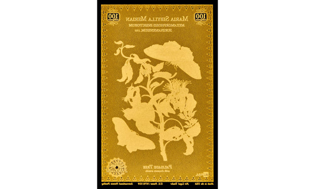 Merian Botanical Aurum® 24k Gold Series Set